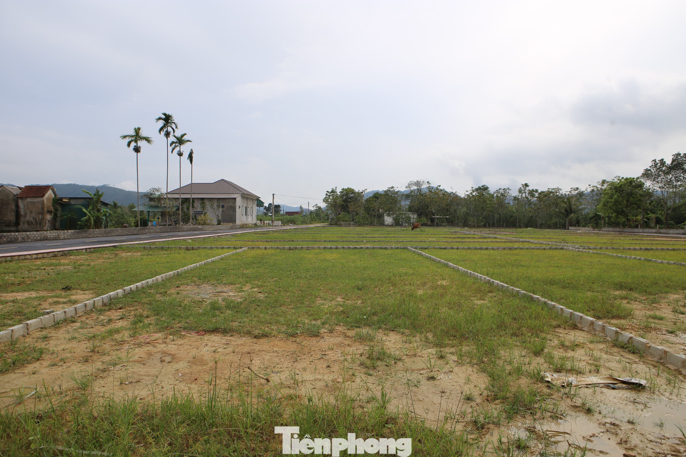 'Thổi giá', gom đất, phân lô bán nền tràn lan sau công bố quy hoạch- Ảnh 3.