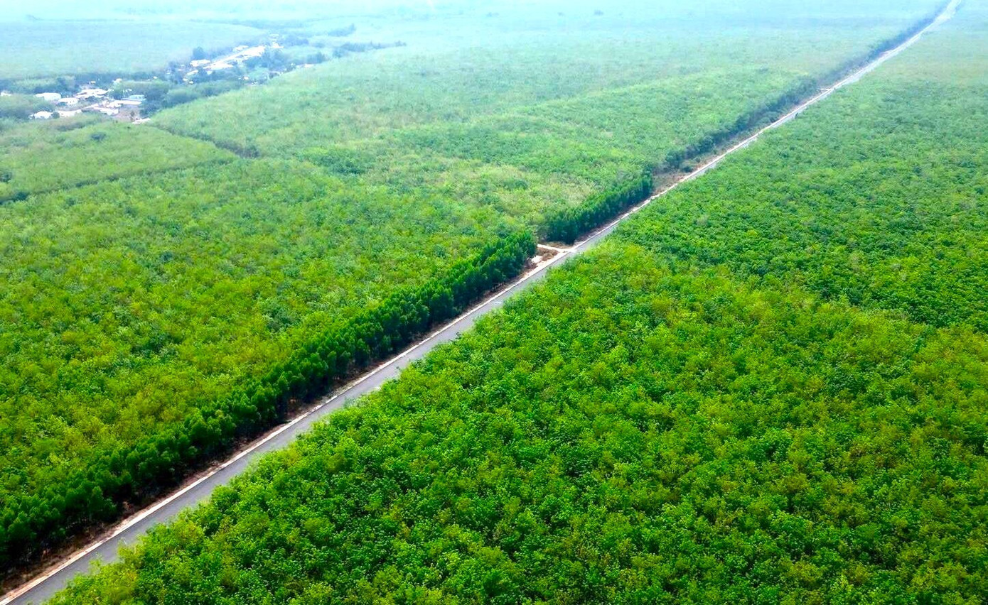Chốt hạn về đích 2 tuyến đường kết nối trọng điểm phía Nam- Ảnh 3. Chốt hạn về đích 2 tuyến đường kết nối trọng điểm phía Nam- Ảnh 3.