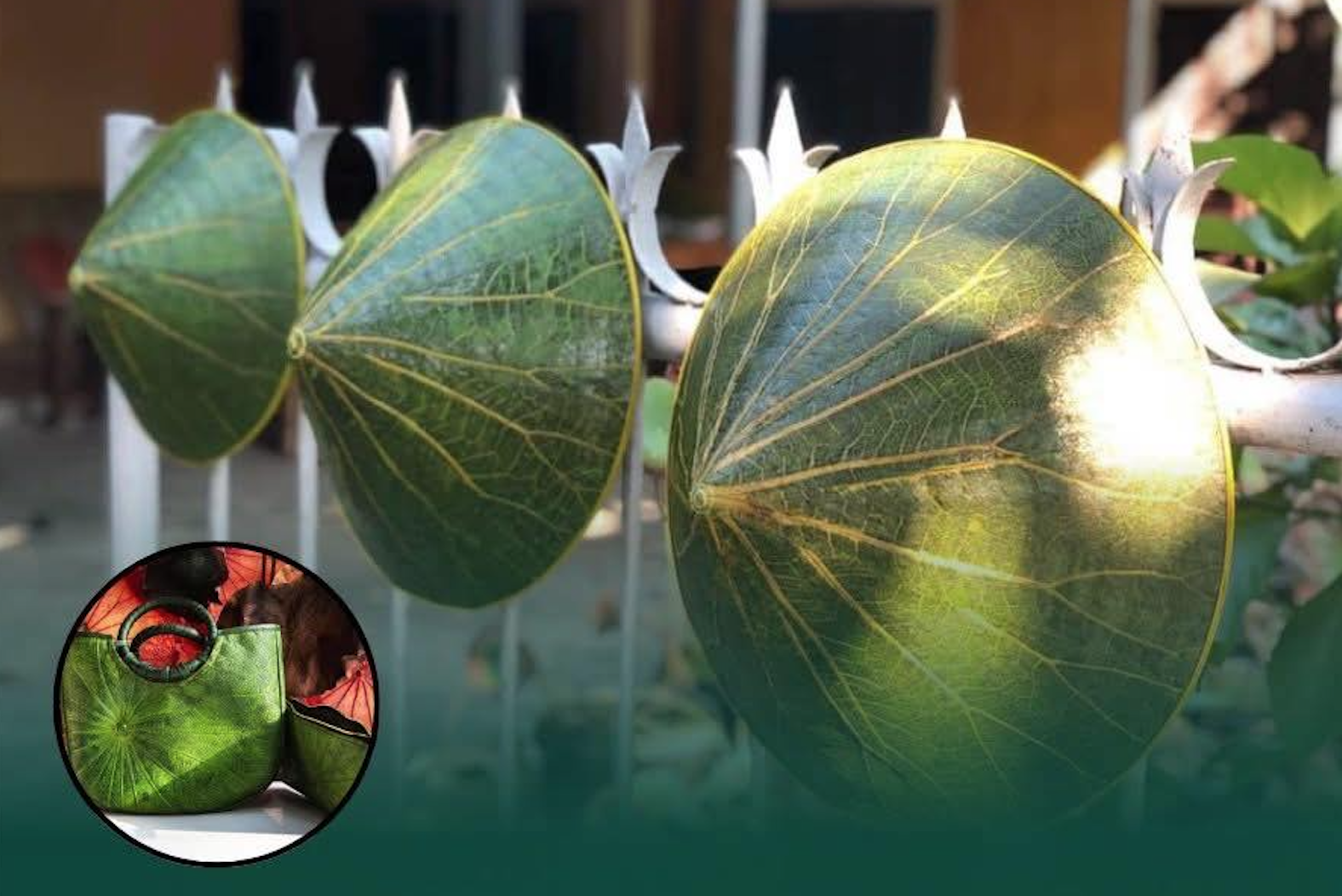Từng chỉ để gói xôi, loại lá phế phẩm nay hóa thành túi xách, nón lá vươn ra quốc tế- Ảnh 1. Từng chỉ để gói xôi, loại lá phế phẩm nay hóa thành túi xách, nón lá vươn ra quốc tế- Ảnh 1.