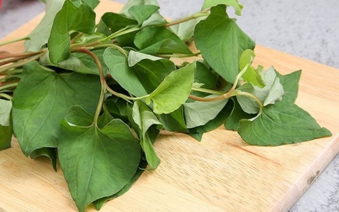 Những bài thuốc từ rau diếp cá