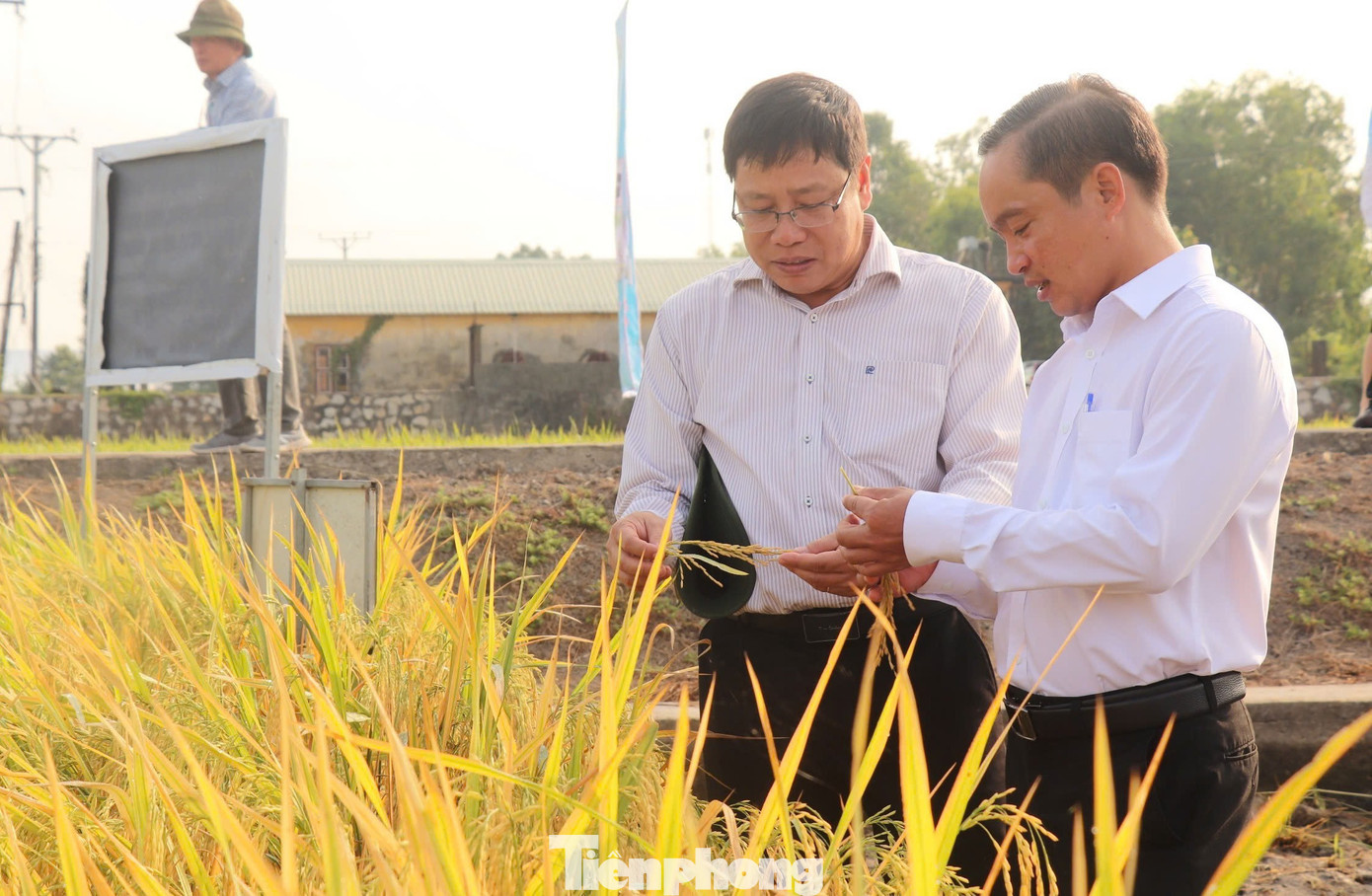 'Bài học xương máu' nhìn từ vụ kiện gạo Việt Nam ngon nhất thế giới- Ảnh 4. 'Bài học xương máu' nhìn từ vụ kiện gạo Việt Nam ngon nhất thế giới- Ảnh 4.