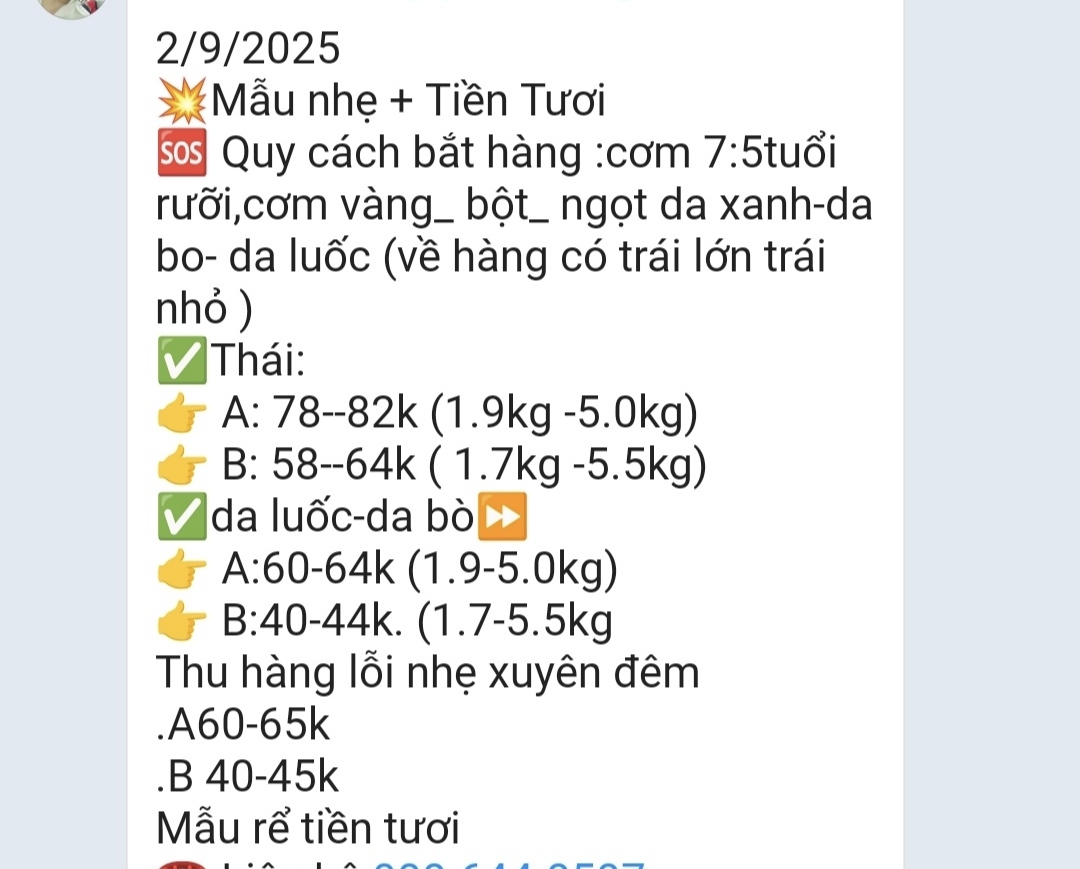 Các vựa sầu riêng thu mua xuyên lễ 2-9- Ảnh 2. Các vựa sầu riêng thu mua xuyên lễ 2-9- Ảnh 2.