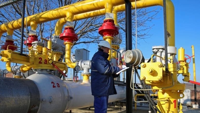 EU chỉ đích danh các nước thành viên vẫn nhập khẩu khí đốt Nga: Con số cao bất ngờ- Ảnh 1.