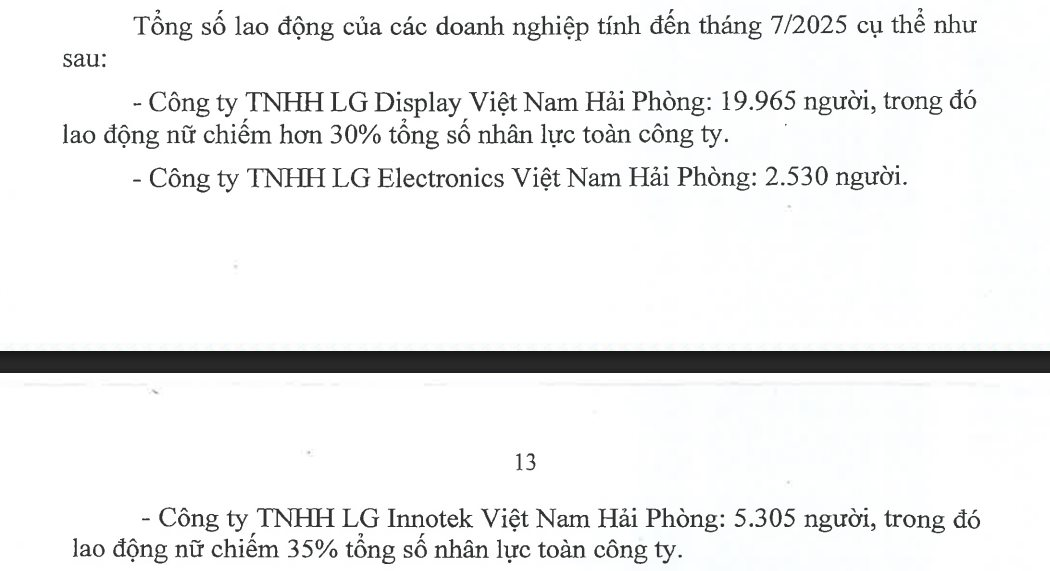 Chaebol Hàn Quốc LG từng ý kiến chuyển đầu tư từ Việt Nam sang Indonesia vì không có hỗ trợ, nay muốn được hỗ trợ gần 2.500 tỷ đồng- Ảnh 2.