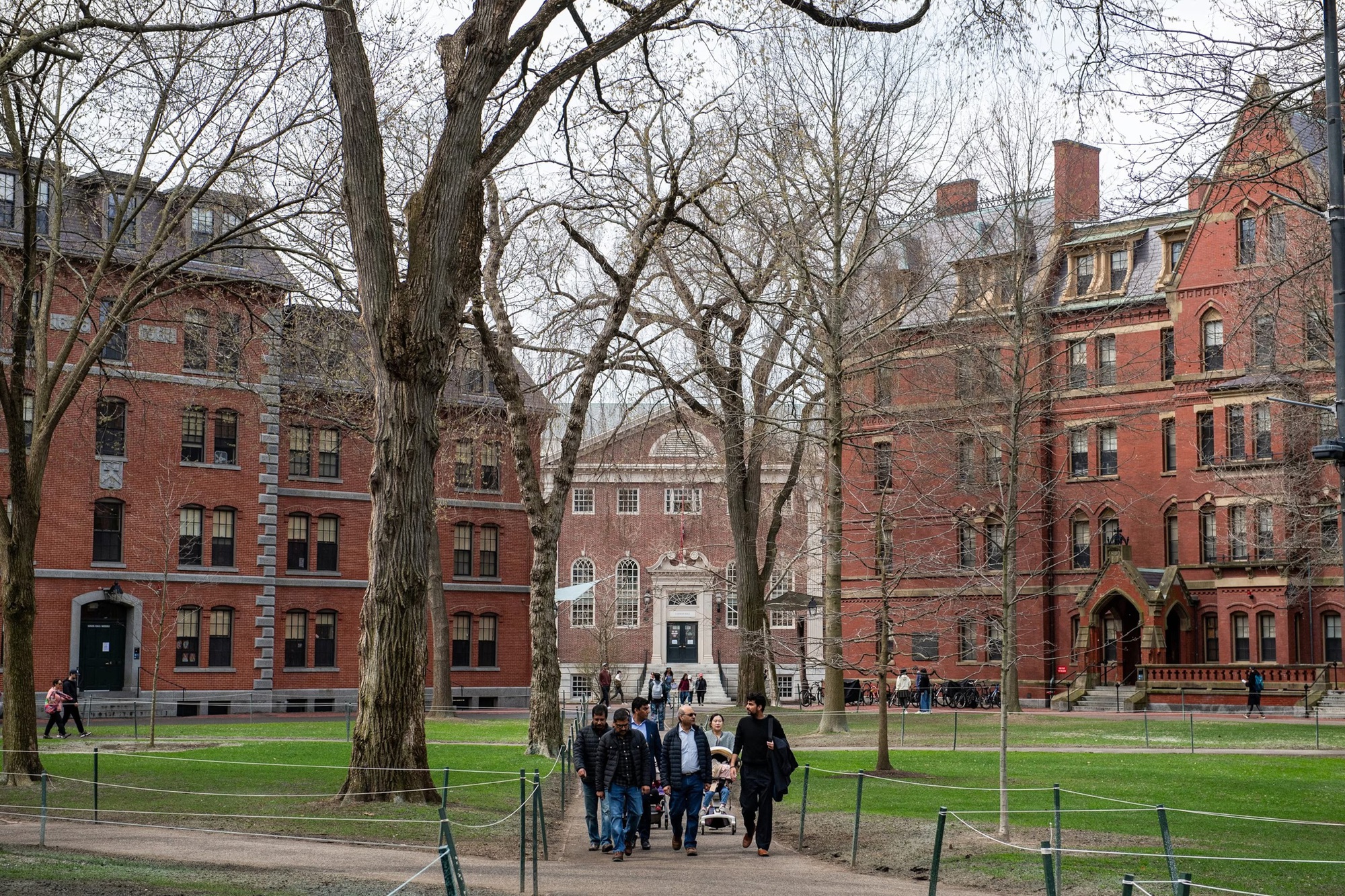 Bí quyết nuôi con đỗ Harvard: Không học thêm, không ép buộc, chỉ cần 3 ĐIỀU - cha mẹ Việt ít để ý!- Ảnh 1. Bí quyết nuôi con đỗ Harvard: Không học thêm, không ép buộc, chỉ cần 3 ĐIỀU - cha mẹ Việt ít để ý!- Ảnh 1.