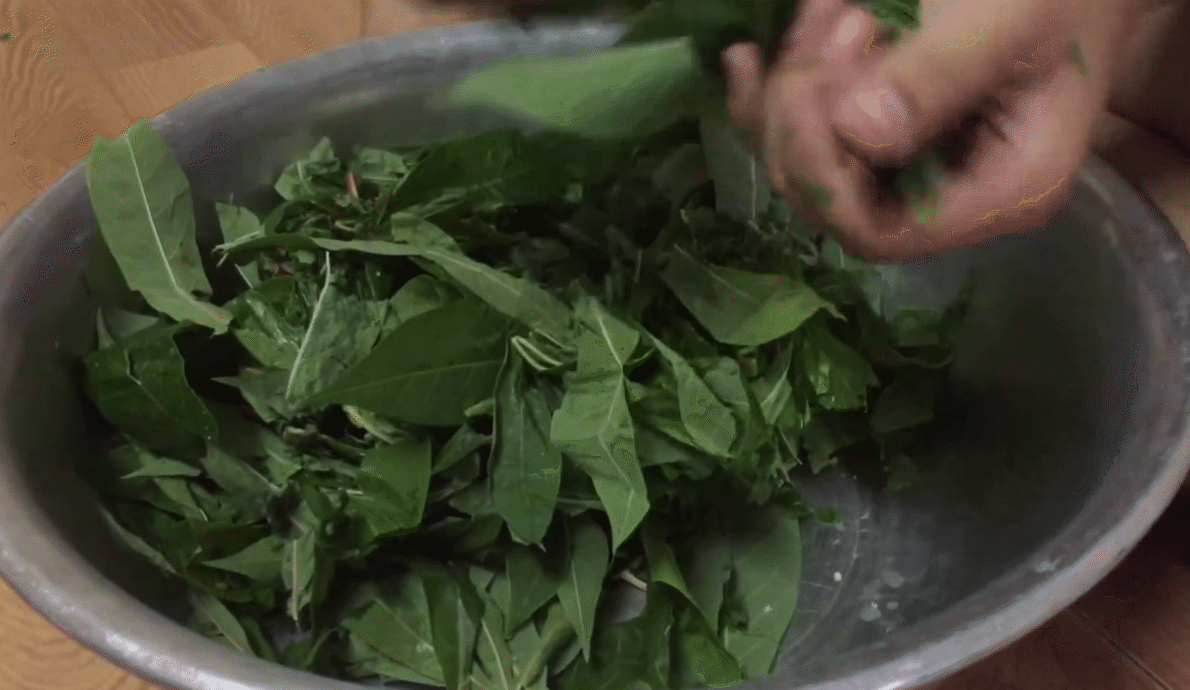 Đặc sản Đắk Lắk vừa đắng vừa chát nhưng "Gia đình Haha" lại tấm tắc khen ngon, Giao Heo cũng từng khẳng định: Hương vị không thể tìm thấy ở bất cứ đâu!- Ảnh 14.