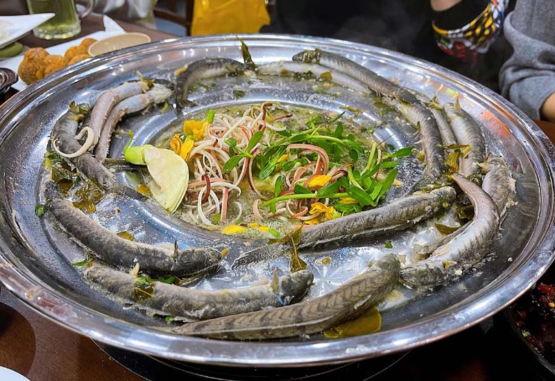 Loại cá được mệnh danh là "dành cho người nghèo" nhưng nhiều đạm, ít béo: Thịt có mùi đặc trưng, dễ nấu- Ảnh 4. Loại cá được mệnh danh là