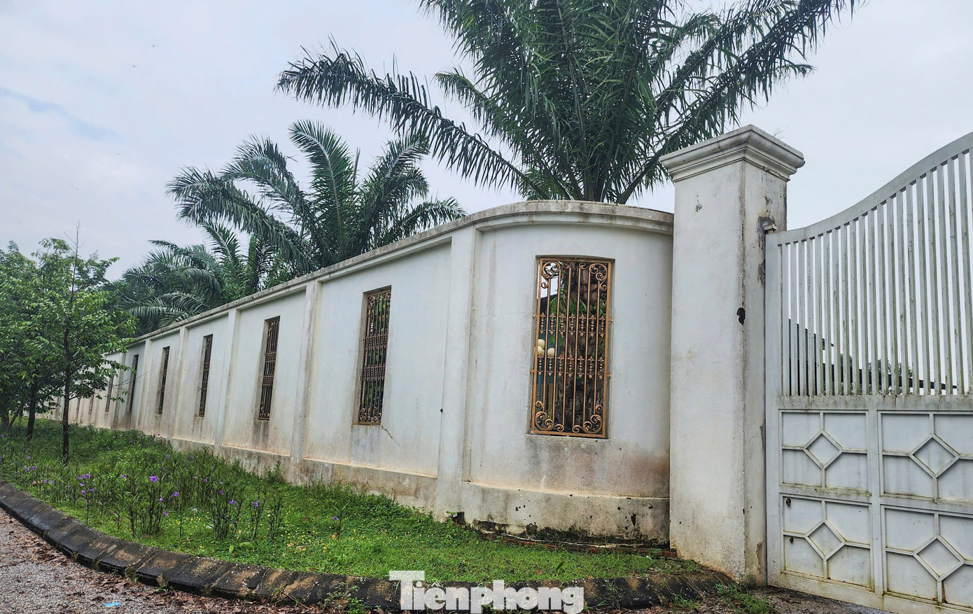 Choáng ngợp khi tận thấy dinh thự hoành tráng 50.000 m2 của ‘Bầu Đoan’- Ảnh 10.