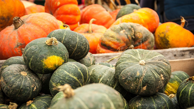 Để chống lại tình trạng khô họng mùa thu, dùng ngay 5 loại thực phẩm bổ phổi được các bác sĩ y học cổ truyền khuyên dùng- Ảnh 3.