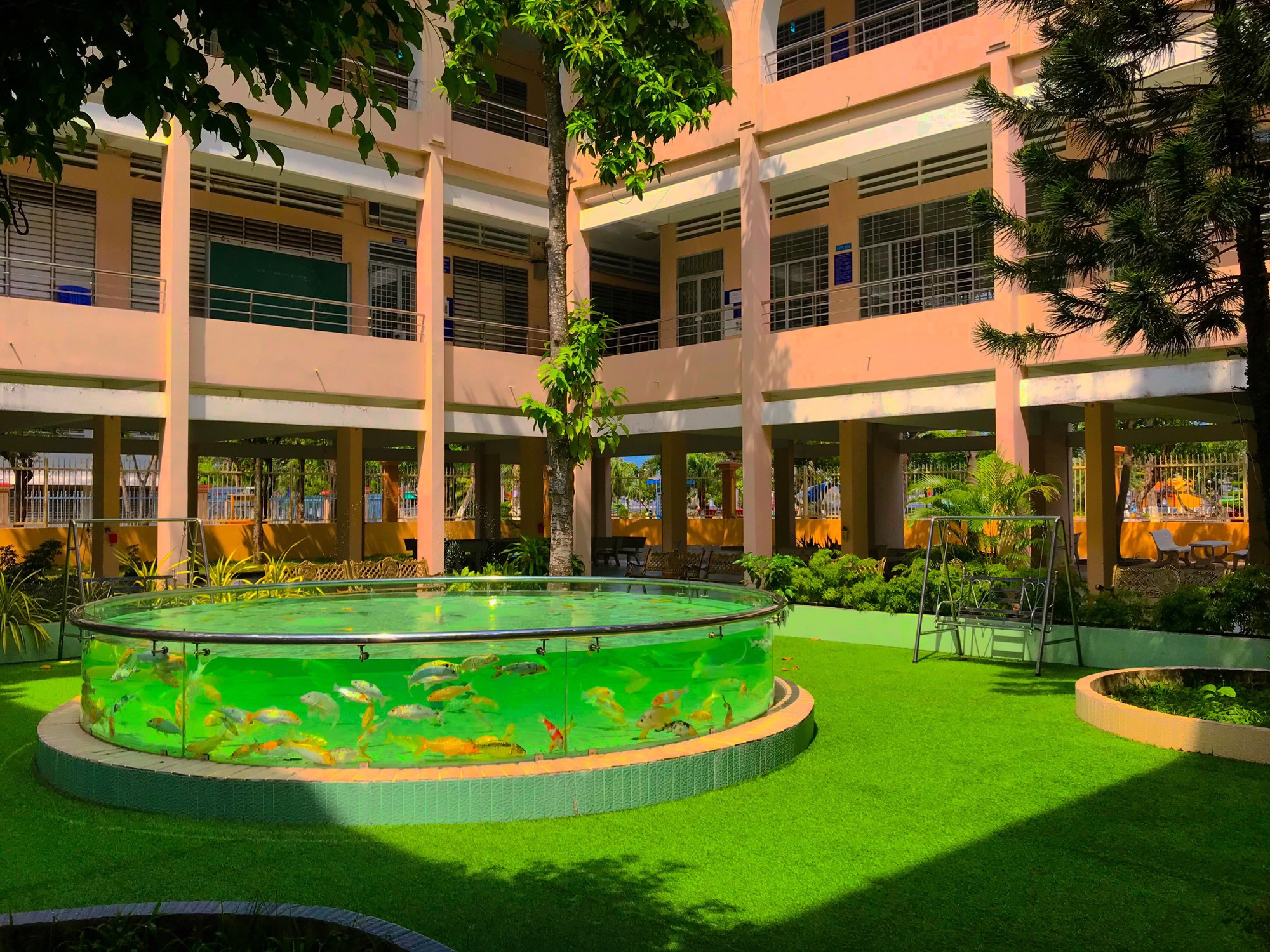 Ngôi trường miền Tây hot rần rần MXH vì khuôn viên siêu xinh, cựu học sinh có người đang tham gia Anh Trai Say Hi- Ảnh 3.