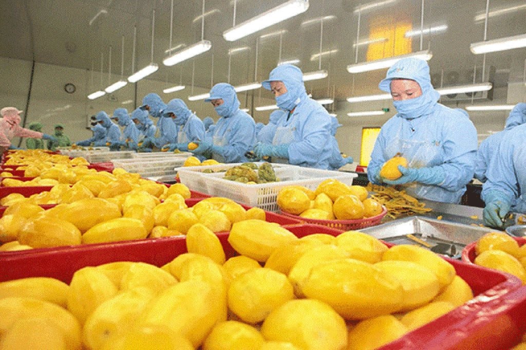 Một ngành hàng của Việt Nam công bố con số kỷ lục gần 1,3 tỷ USD, Trung Quốc có đóng góp lớn- Ảnh 2.