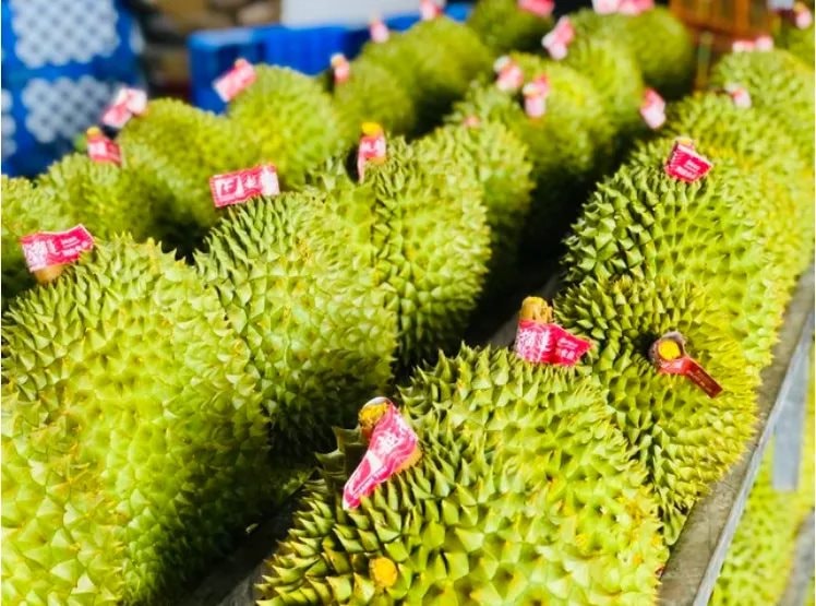 Một ngành hàng của Việt Nam công bố con số kỷ lục gần 1,3 tỷ USD, Trung Quốc có đóng góp lớn- Ảnh 1.