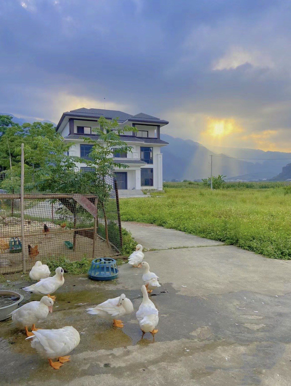 Bán nhà thành phố hạng 1 được 6 tỷ đồng để về quê sống, 1 năm sau, người phụ nữ thừa nhận: “Tôi lãi đậm nhưng sống trong bứt rứt, hối hận ”- Ảnh 2.