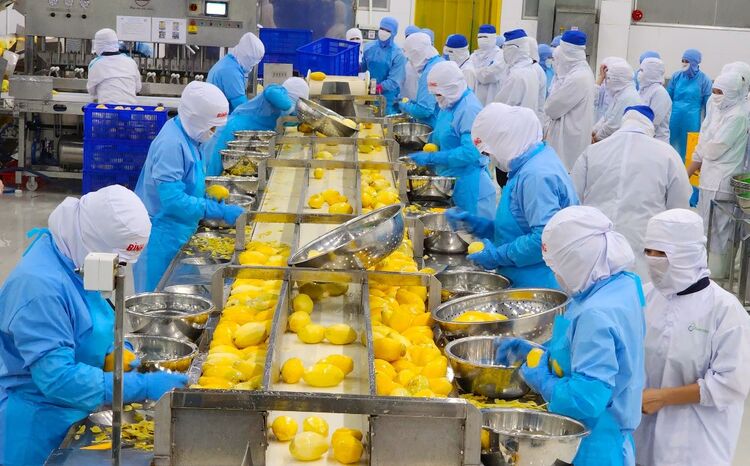 Từng bị coi là rác, một loại vỏ quả Việt Nam nay hóa thành “mỏ vàng” giúp doanh nghiệp thu tiền tỷ mỗi năm- Ảnh 1. Từng bị coi là rác, một loại vỏ quả Việt Nam nay hóa thành “mỏ vàng” giúp doanh nghiệp thu tiền tỷ mỗi năm- Ảnh 1.