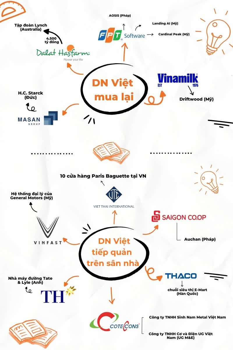 Từ "con mồi" bị thâu tóm đến làn sóng doanh nghiệp Việt đi săn các công ty ngoại: FPT, Vinamilk, Masan, VinFast và những thương vụ triệu đô- Ảnh 2.