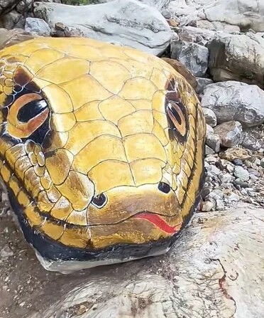 'Trăn khổng lồ' giữa suối khiến du khách hoảng sợ, ban quản lý nói: Nó đã ở đây hàng trăm triệu năm- Ảnh 2.