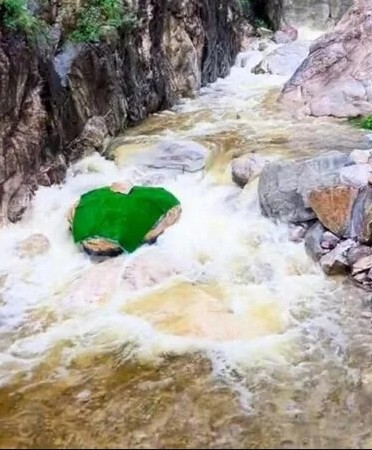 'Trăn khổng lồ' giữa suối khiến du khách hoảng sợ, ban quản lý nói: Nó đã ở đây hàng trăm triệu năm- Ảnh 4.