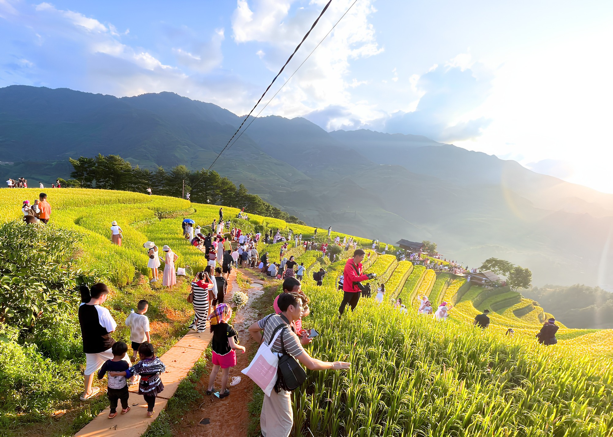 Cảnh tượng diễn ra giữa ruộng bậc thang Mù Cang Chải khiến nhiều người ngỡ ngàng: Hoá ra đây là lý do homestay thi nhau "cháy" phòng- Ảnh 3.