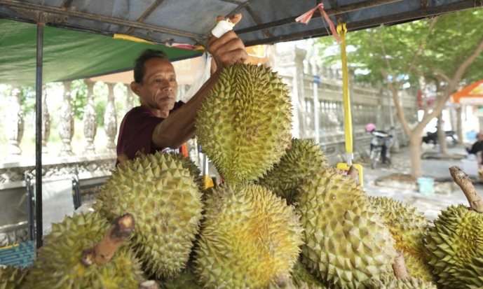 Không phải Thái Lan, làn sóng sầu riêng đang bùng nổ tại quốc gia Đông Nam Á: Công ty bất động sản, dầu cọ đổ xô đi trồng sầu riêng, giá bán tăng gần gấp 4 lần- Ảnh 1.
