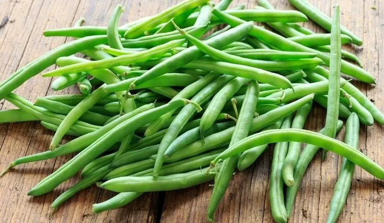 4 loại rau dễ "ngậm" thuốc trừ sâu, đi chợ nên cân nhắc vì toàn loại quen thuộc nhiều người ăn mỗi ngày- Ảnh 1. 4 loại rau dễ "ngậm" thuốc trừ sâu, đi chợ nên cân nhắc vì toàn loại quen thuộc nhiều người ăn mỗi ngày- Ảnh 1.