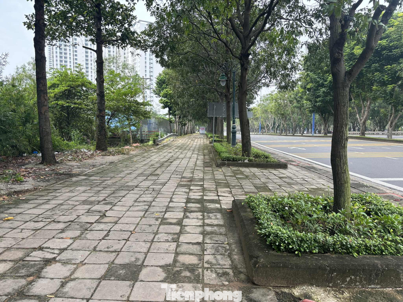 Cận cảnh tuyến đường đầu tiên ở TPHCM sẽ cải tạo thành làn xe đạp- Ảnh 6.