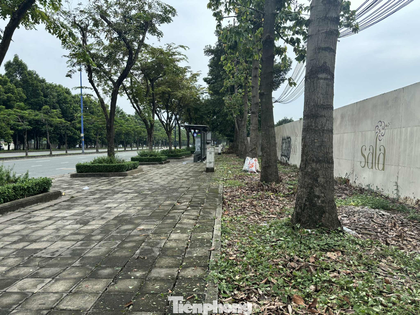 Cận cảnh tuyến đường đầu tiên ở TPHCM sẽ cải tạo thành làn xe đạp- Ảnh 12.