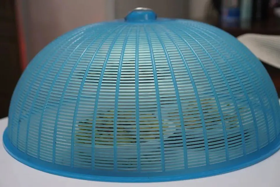 4 thực phẩm tưởng sạch nhưng là "ổ vi khuẩn", ăn sai dễ phải nhập viện- Ảnh 1.