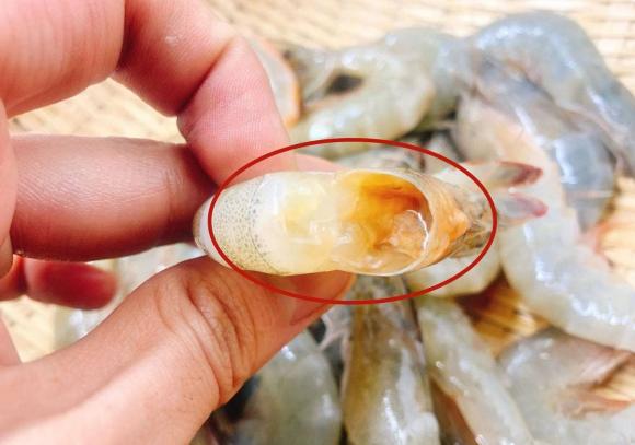Tôm ngậm hóa chất ure, hàn the thường có 3 đặc điểm này: đừng ham rẻ, mua về ăn mà hại thân- Ảnh 1. Tôm ngậm hóa chất ure, hàn the thường có 3 đặc điểm này: đừng ham rẻ, mua về ăn mà hại thân- Ảnh 1.