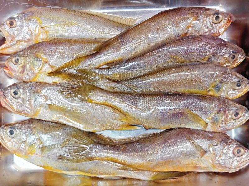 Người sành sỏi thấy 3 loại cá này là mua ngay: Toàn là cá tự nhiên, nấu món ăn vừa ngon, bổ dưỡng lại rẻ- Ảnh 2.