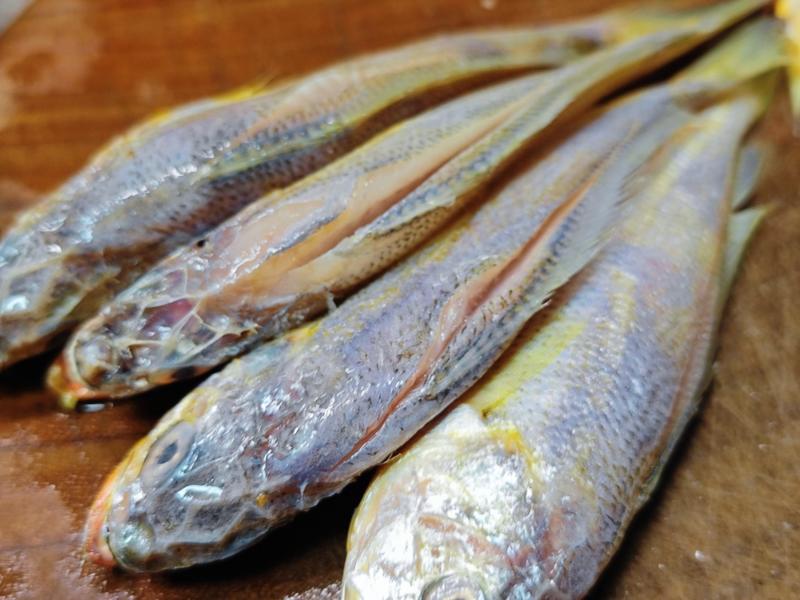 Người sành sỏi thấy 3 loại cá này là mua ngay: Toàn là cá tự nhiên, nấu món ăn vừa ngon, bổ dưỡng lại rẻ- Ảnh 3.