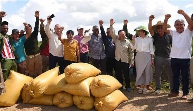 Cuba muốn học hỏi một kỹ thuật của Việt Nam trong lĩnh vực nuôi sống một nửa nhân loại: Kỳ tích- Ảnh 1.