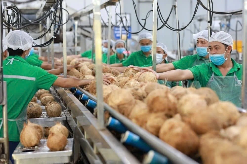 Vượt Trung Quốc, Mỹ chi hơn 2.100 tỷ để nhập một “sản vật” của Việt Nam, hơn 40 quốc gia cũng đặt hàng- Ảnh 2.