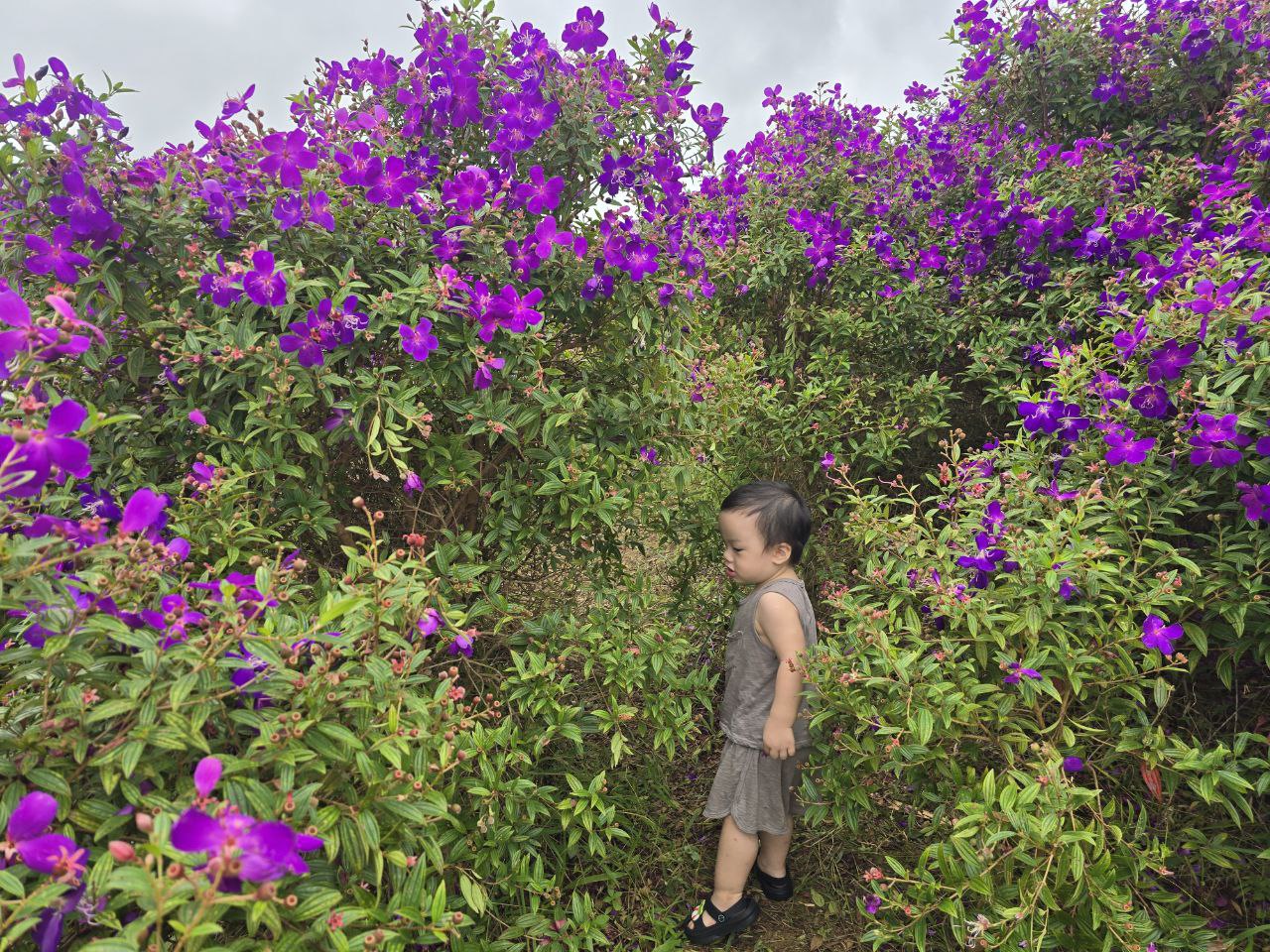 Chuyến xê dịch 