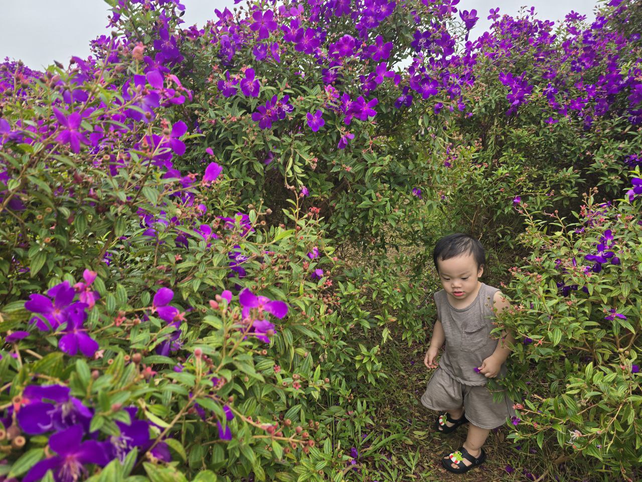 Chuyến xê dịch 