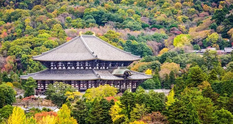 Ngang hàng Kyoto và Nami, thành phố duy nhất của Việt Nam lọt Top 7 điểm đến mùa thu đẹp nhất châu Á- Ảnh 3.