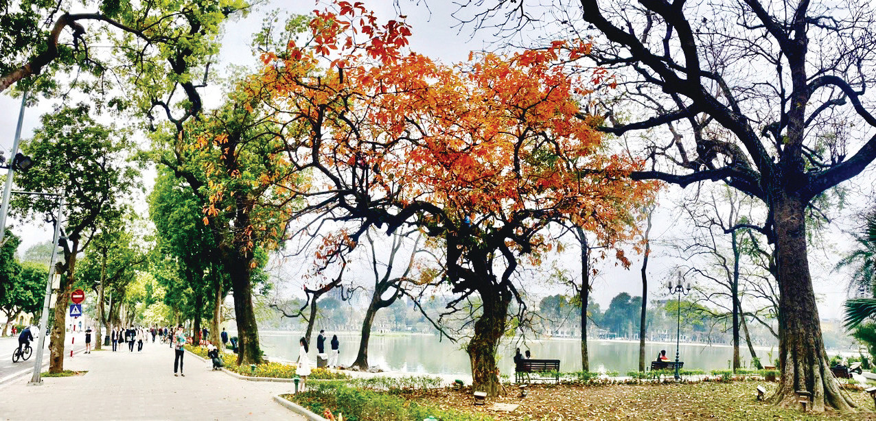 Ngang hàng Kyoto và Nami, thành phố duy nhất của Việt Nam lọt Top 7 điểm đến mùa thu đẹp nhất châu Á- Ảnh 6.