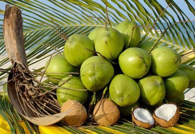 Kim ngạch xuất khẩu rau quả Việt Nam cao chưa từng có- Ảnh 2.