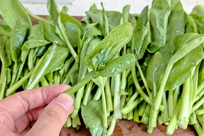 3 loại rau mùa thu được gọi là 'vua canxi', ai cũng nên ăn thường xuyên- Ảnh 1.