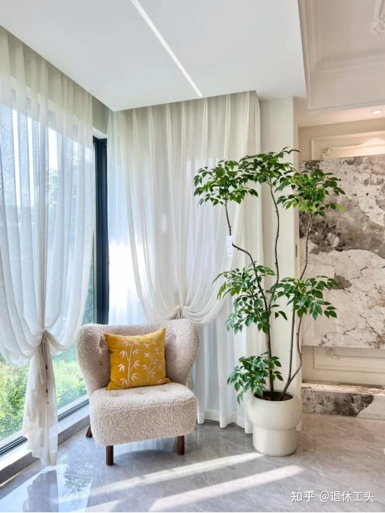 Đặt 1 trong 6 cây phong thủy này trong phòng khách: 9/10 gia đình đều giàu có- Ảnh 3. Đặt 1 trong 6 cây phong thủy này trong phòng khách: 9/10 gia đình đều giàu có- Ảnh 3.