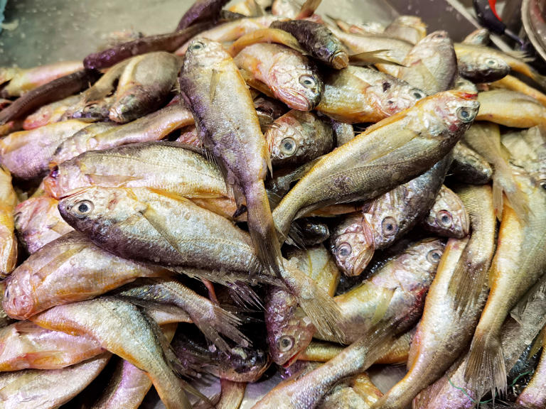 Đi chợ mua cá, nhớ kỹ 4 loại này toàn hàng “xịn”, dinh dưỡng cao, lại không thể nuôi nhân tạo, gặp là nên mua ngay- Ảnh 1.