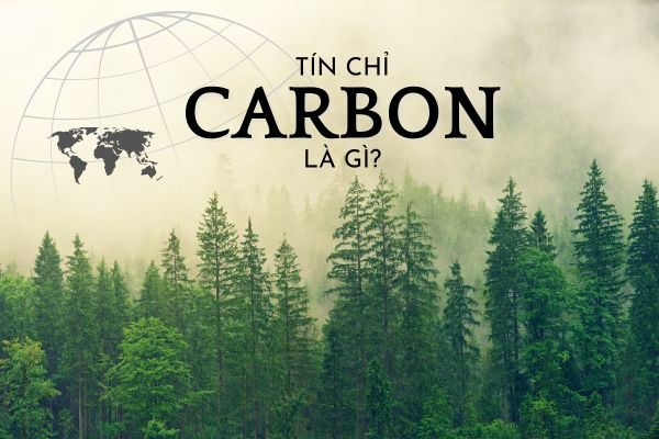 Việt Nam ngồi trên 