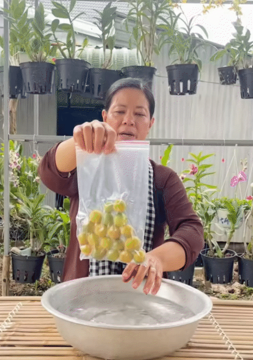 Người miền Tây chỉ cách làm đá không cần khay cực tiện - kèm loạt mẹo vặt siêu hay ai cũng áp dụng được- Ảnh 9. Người miền Tây chỉ cách làm đá không cần khay cực tiện - kèm loạt mẹo vặt siêu hay ai cũng áp dụng được- Ảnh 9.