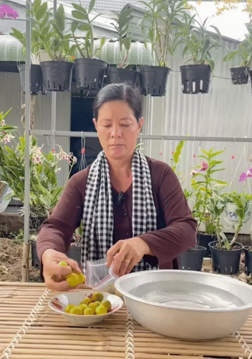 Người miền Tây chỉ cách làm đá không cần khay cực tiện - kèm loạt mẹo vặt siêu hay ai cũng áp dụng được- Ảnh 6. Người miền Tây chỉ cách làm đá không cần khay cực tiện - kèm loạt mẹo vặt siêu hay ai cũng áp dụng được- Ảnh 6.