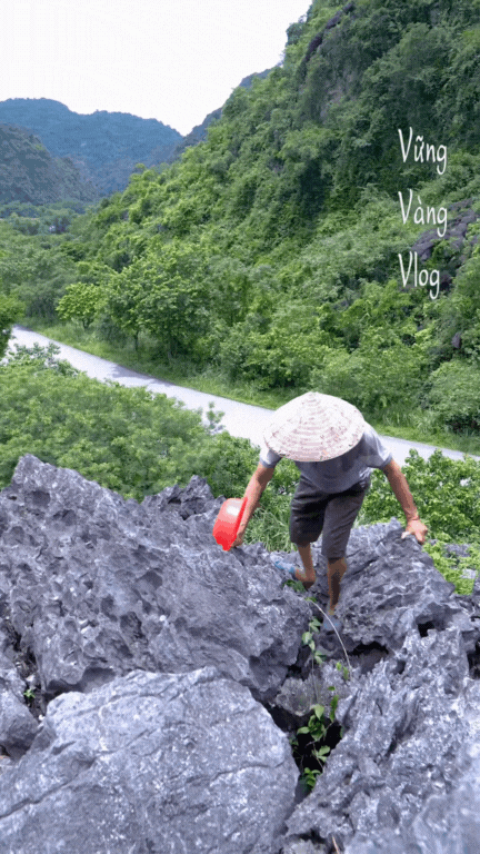 Không phải dê núi và cơm cháy, thứ Không phải dê núi và cơm cháy, thứ