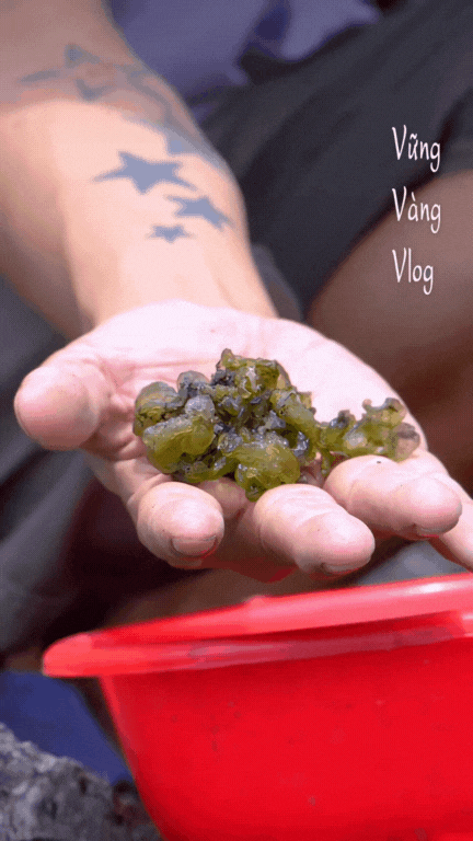 Không phải dê núi và cơm cháy, thứ Không phải dê núi và cơm cháy, thứ