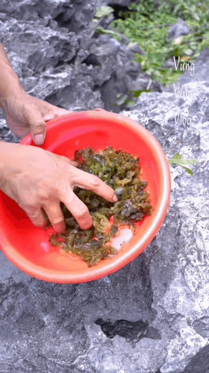 Không phải dê núi và cơm cháy, thứ Không phải dê núi và cơm cháy, thứ