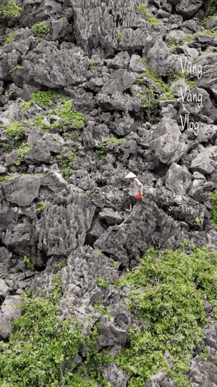 Không phải dê núi và cơm cháy, thứ Không phải dê núi và cơm cháy, thứ