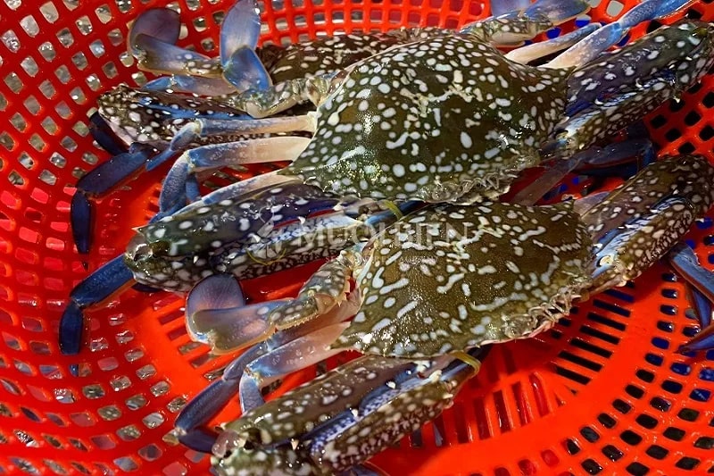 Mua ghẹ, cứ học thuộc mẹo này là biết ngay ghẹ tươi hay ghẹ óp- Ảnh 2.