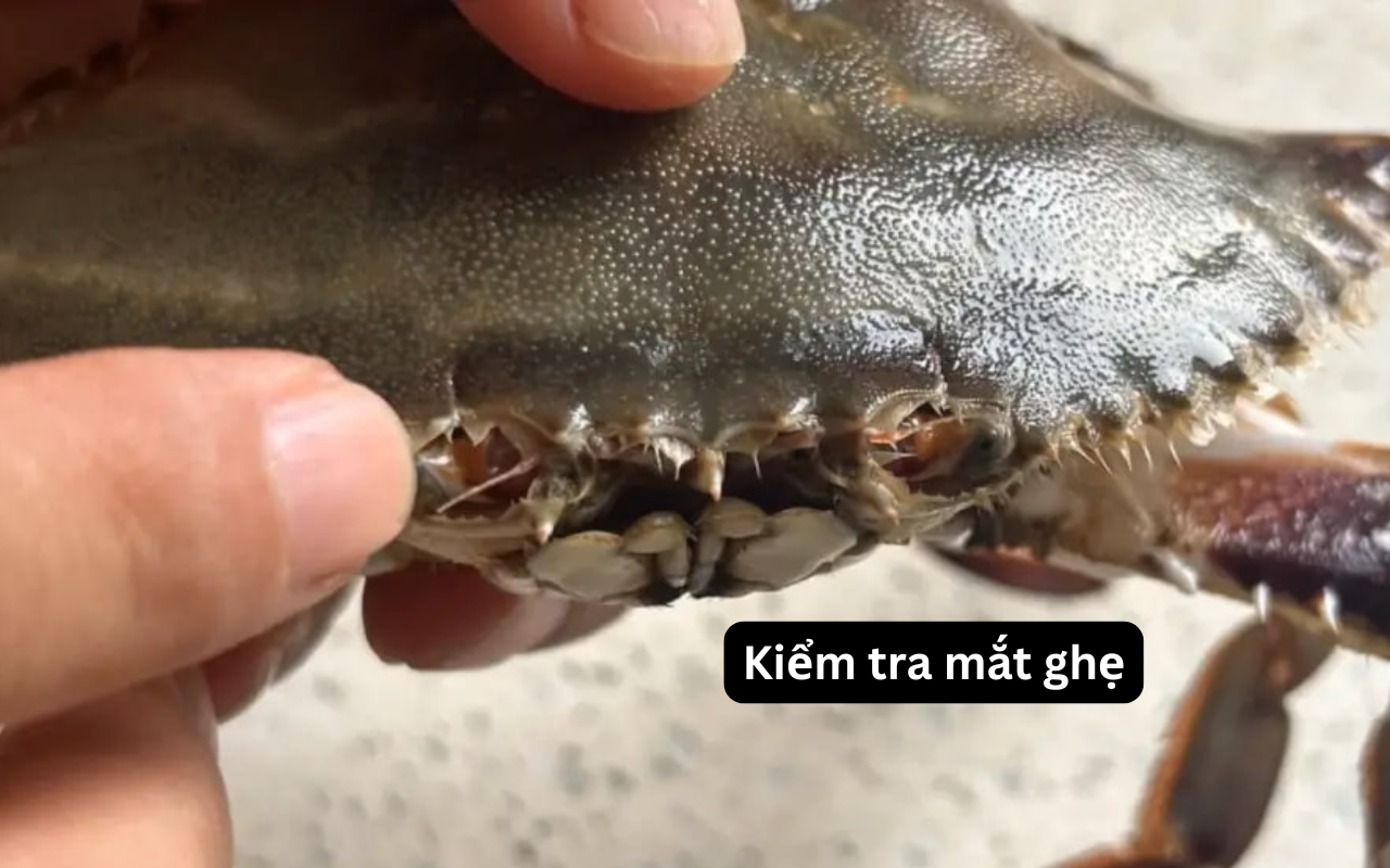 Mua ghẹ, cứ học thuộc mẹo này là biết ngay ghẹ tươi hay ghẹ óp- Ảnh 4.