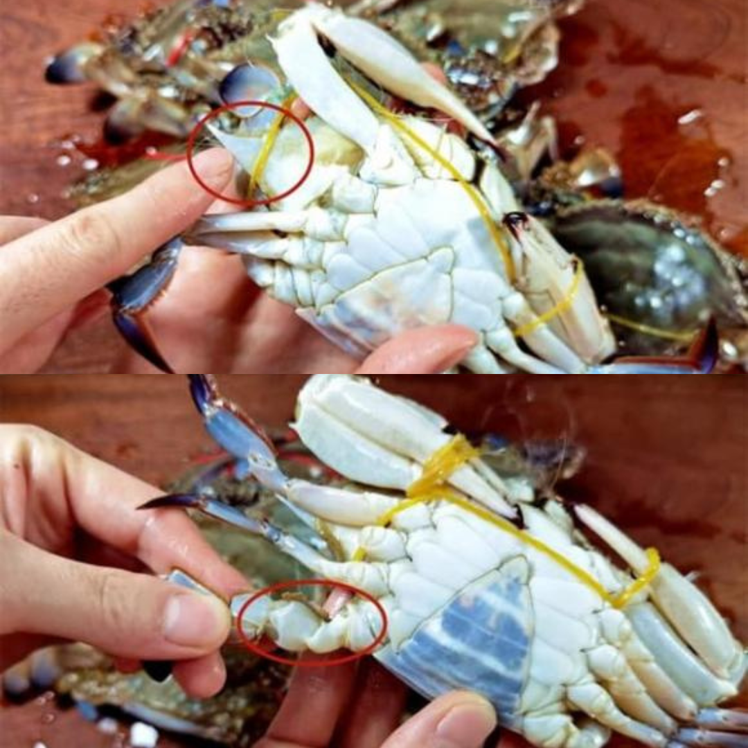 Mua ghẹ, cứ học thuộc mẹo này là biết ngay ghẹ tươi hay ghẹ óp- Ảnh 3.